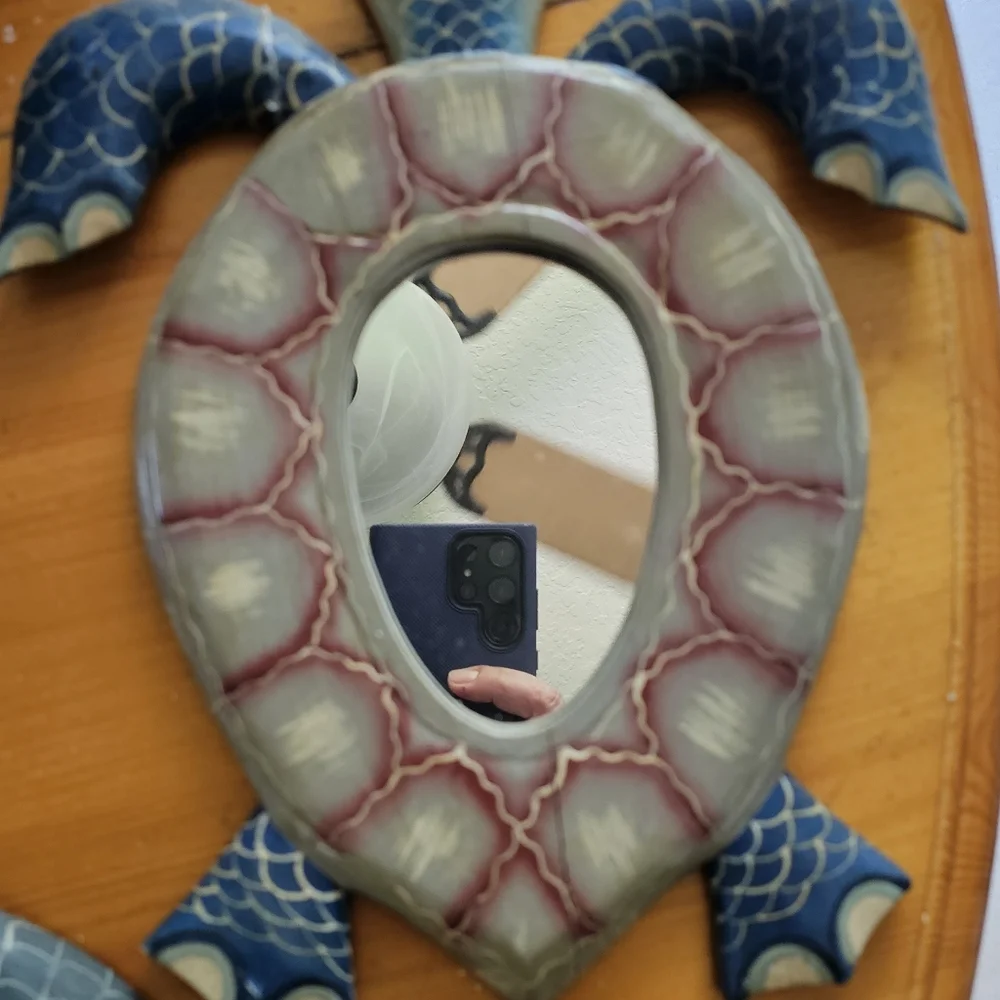 Set of Turtle Mirrors
